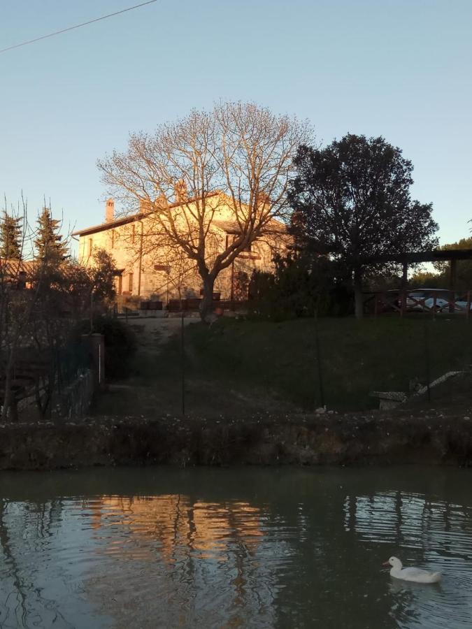 Agriturismo La Provenca 끼안챠노테르메 외부 사진