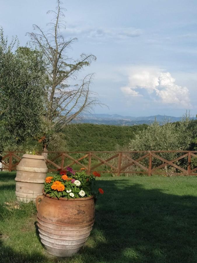 Agriturismo La Provenca 끼안챠노테르메 외부 사진