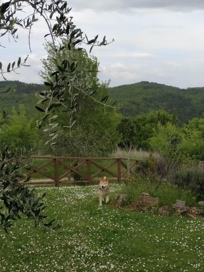 Agriturismo La Provenca 끼안챠노테르메 외부 사진
