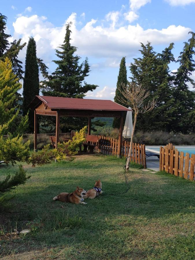 Agriturismo La Provenca 끼안챠노테르메 외부 사진