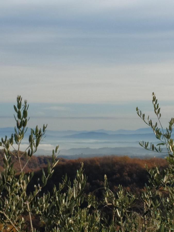 Agriturismo La Provenca 끼안챠노테르메 외부 사진