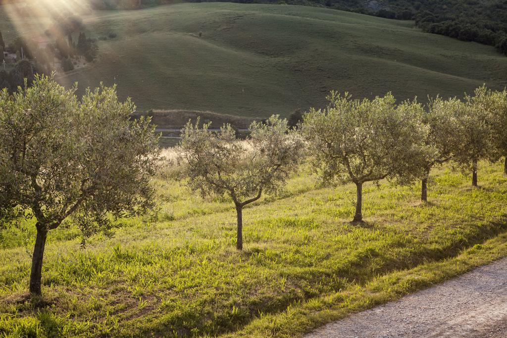 Agriturismo La Provenca 끼안챠노테르메 외부 사진