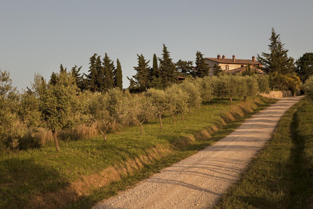 Agriturismo La Provenca 끼안챠노테르메 외부 사진